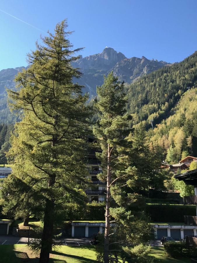 Brévent - Melèze Apartman Chamonix Kültér fotó